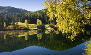 Sunny autumn TIME OUT 2026